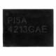 PI5A4213GAEX