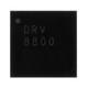 DRV8800RTYR